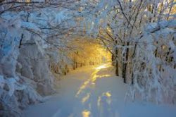 Merry Christmas and Happy New Year ! imagesvqsje4go